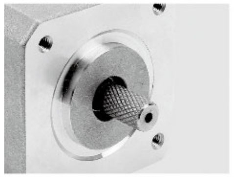 10、ดอกไม้