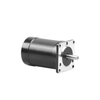 Motor tanpa sikat 48volt 1000watt