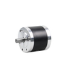 fabricant de motors bldc