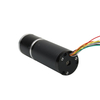 24v brushless na motor