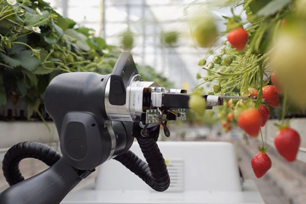 Koje bi značajke trebao imati integrirani servo motor za robote za žetvu?