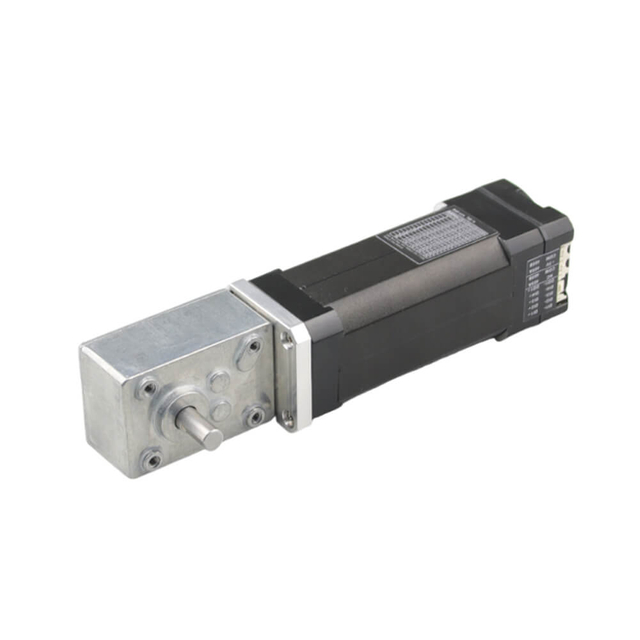 Worm Apparatus Integrated Dc Servo Motor