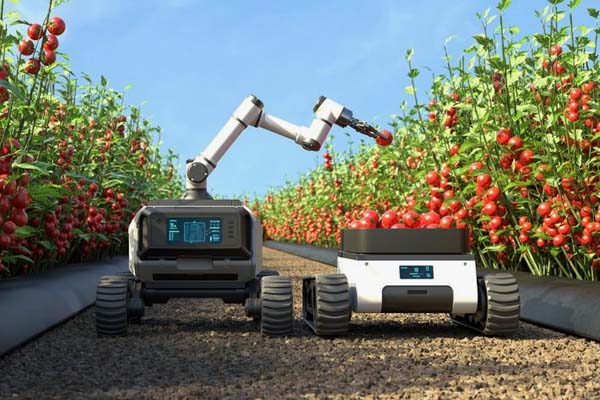 Wie w&auml;hlt man den richtigen BLDC-Motor f&uuml;r einen Raupen-Landwirtschaftsroboter aus?
